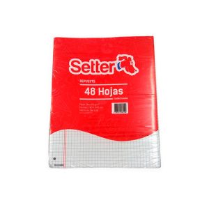 Repuesto escolar Setter 48 hojas papel obra 65 grs. cuadriculadas en ABC Librería y Juguetería